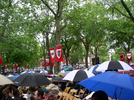p051.jpg