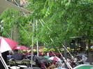 p165.jpg