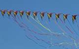 kites2.jpg