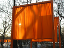 p42.jpg