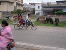p39.jpg