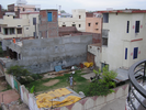 p50.jpg