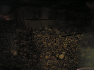 p007.jpg