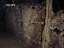 p010.jpg