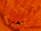 p59.jpg