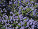 p95.jpg