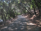 p06.jpg