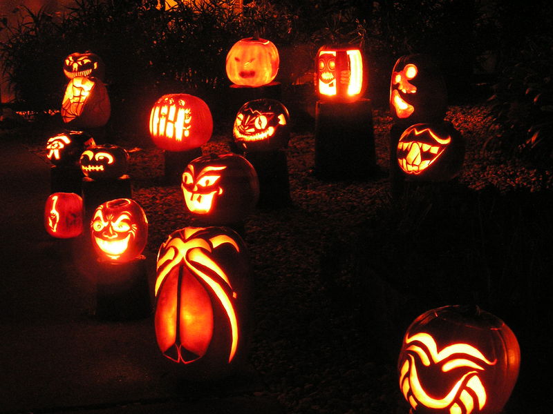 /www/img/slides/iPhone5/Halloween/s029.jpg