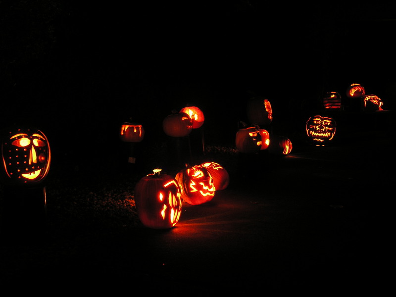 /www/img/slides/iPhone5/Halloween/s059.jpg