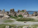 p06.jpg