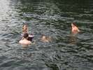 p08.jpg