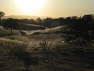 p001.jpg