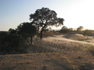p004.jpg