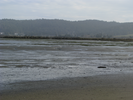 p6.jpg