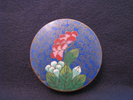 p214b.jpg