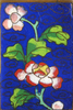 p133b.jpg