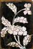 p144b.jpg