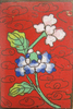 p151a.jpg