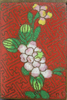 p157b.jpg