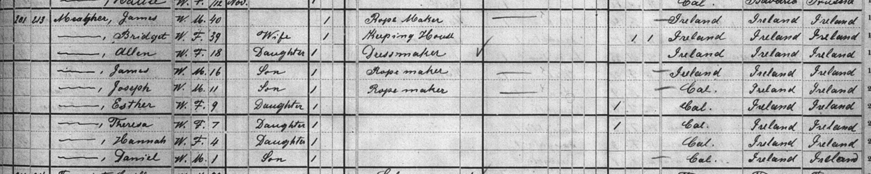 Census_1880_a.png