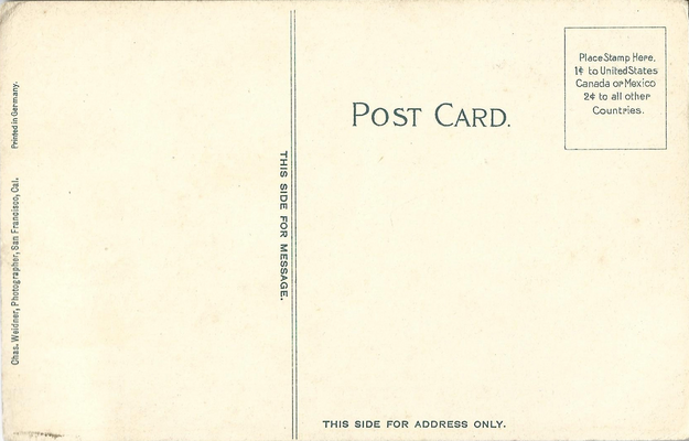 weidner_238_b.png